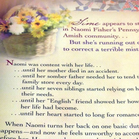 3 for $10 book sale! Amish - The Storekeeper's Daughter Wanda E. Brunstetter - Picture 3 of 9